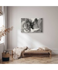 Paveikslas Liūto meilė