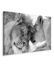 Paveikslas Liūto meilė