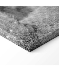 Paveikslas Liūto meilė