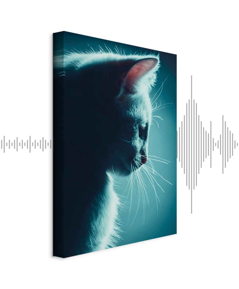 Paveikslas Nakties klajūnas