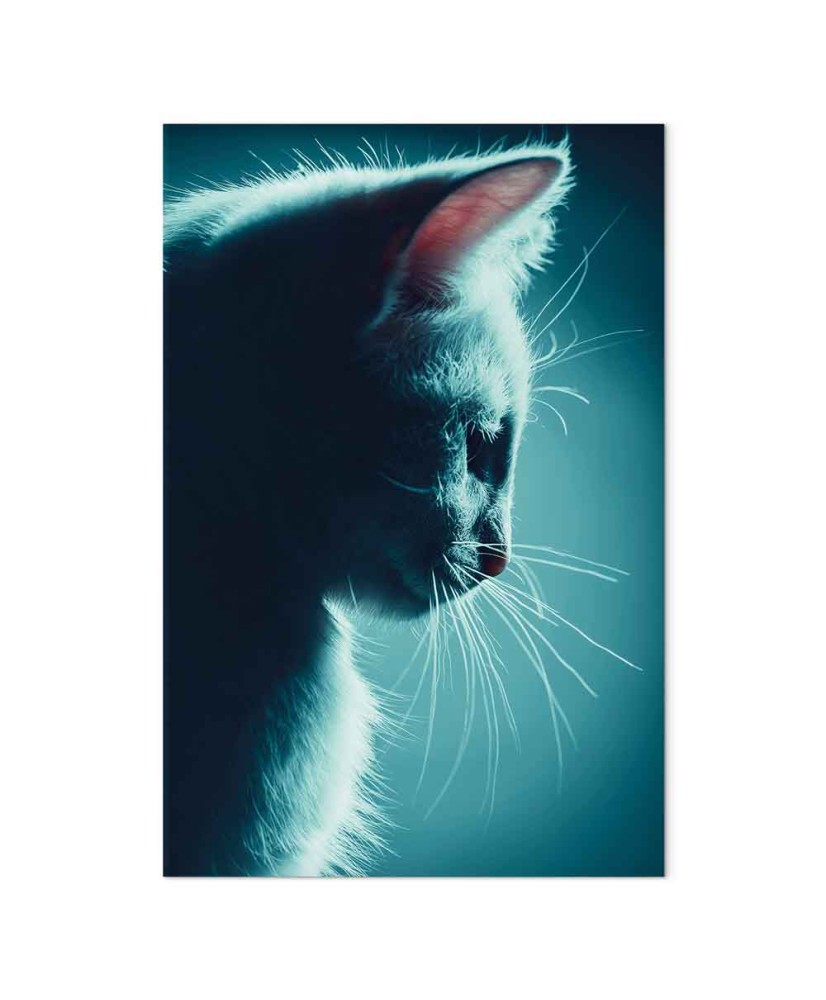 Paveikslas Nakties klajūnas