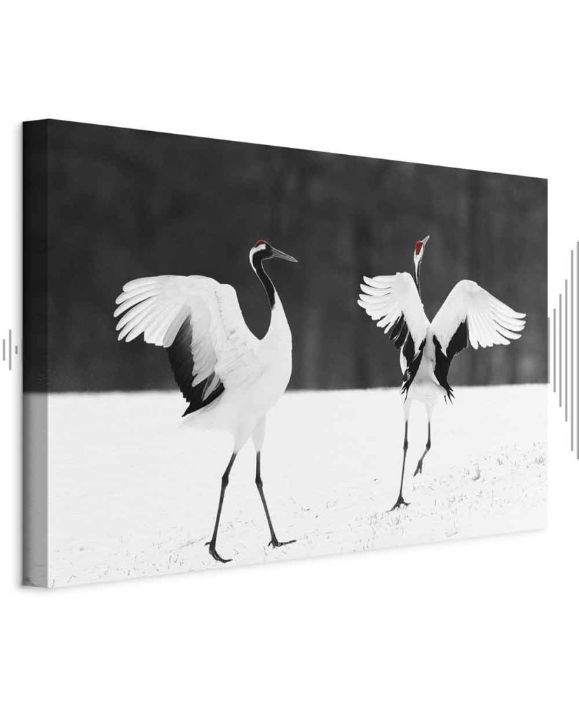 Paveikslas Šokančios gervės