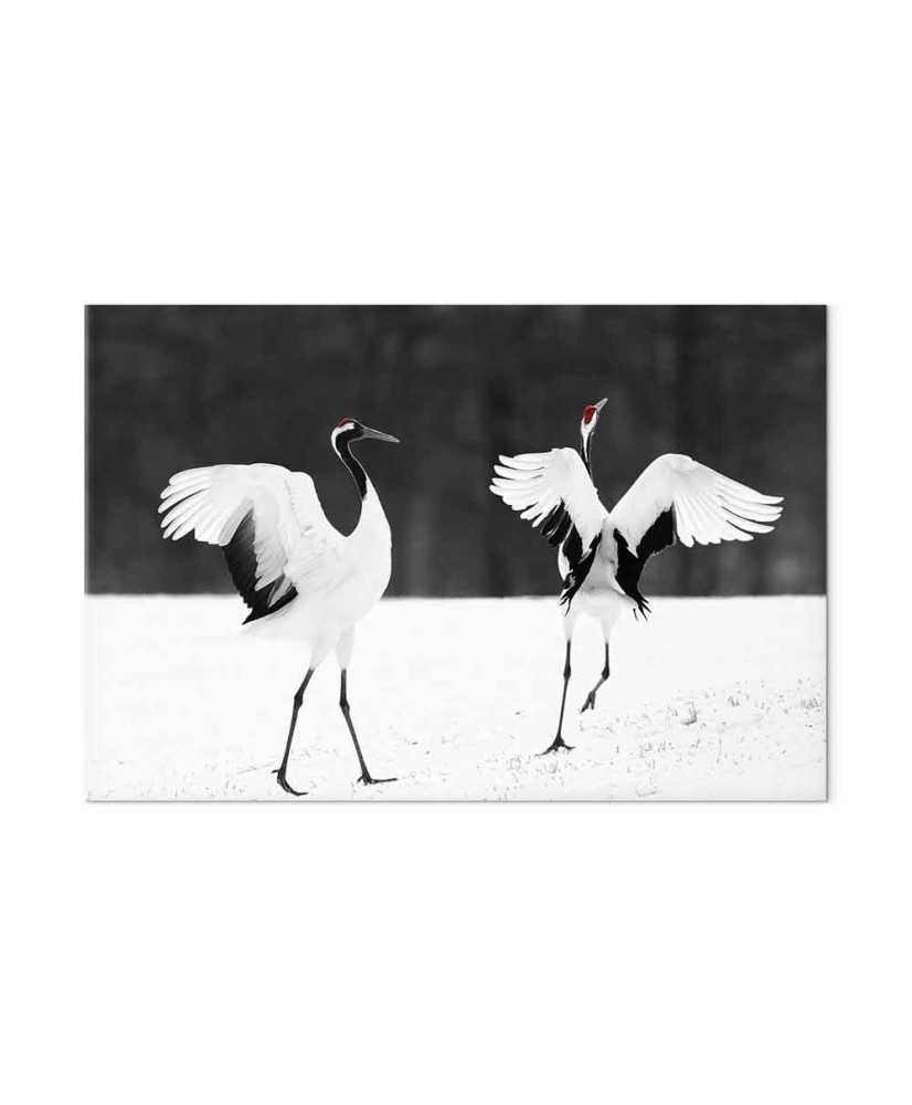 Paveikslas Šokančios gervės