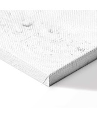 Paveikslas Šokančios gervės