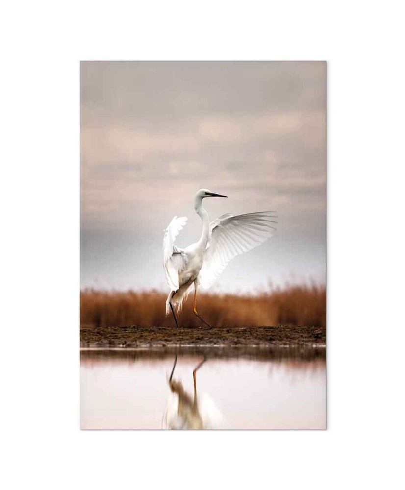 Paveikslas Ruduo prie ežero