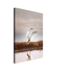 Paveikslas Ruduo prie ežero