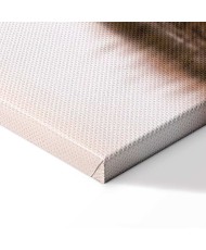 Paveikslas Ruduo prie ežero