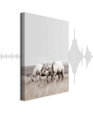 Paveikslas Balti žirgai