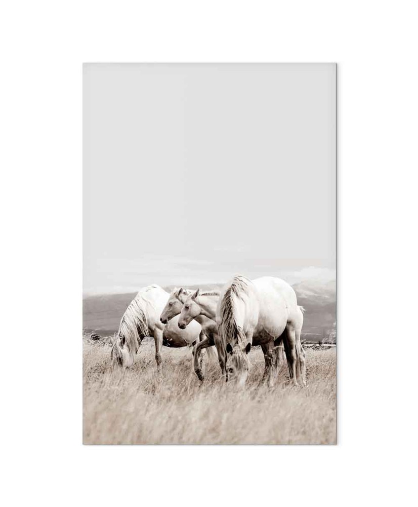 Paveikslas Balti žirgai