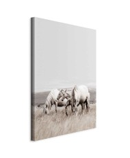 Paveikslas Balti žirgai