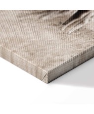 Paveikslas Balti žirgai