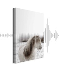 Paveikslas Žirgo karčiai