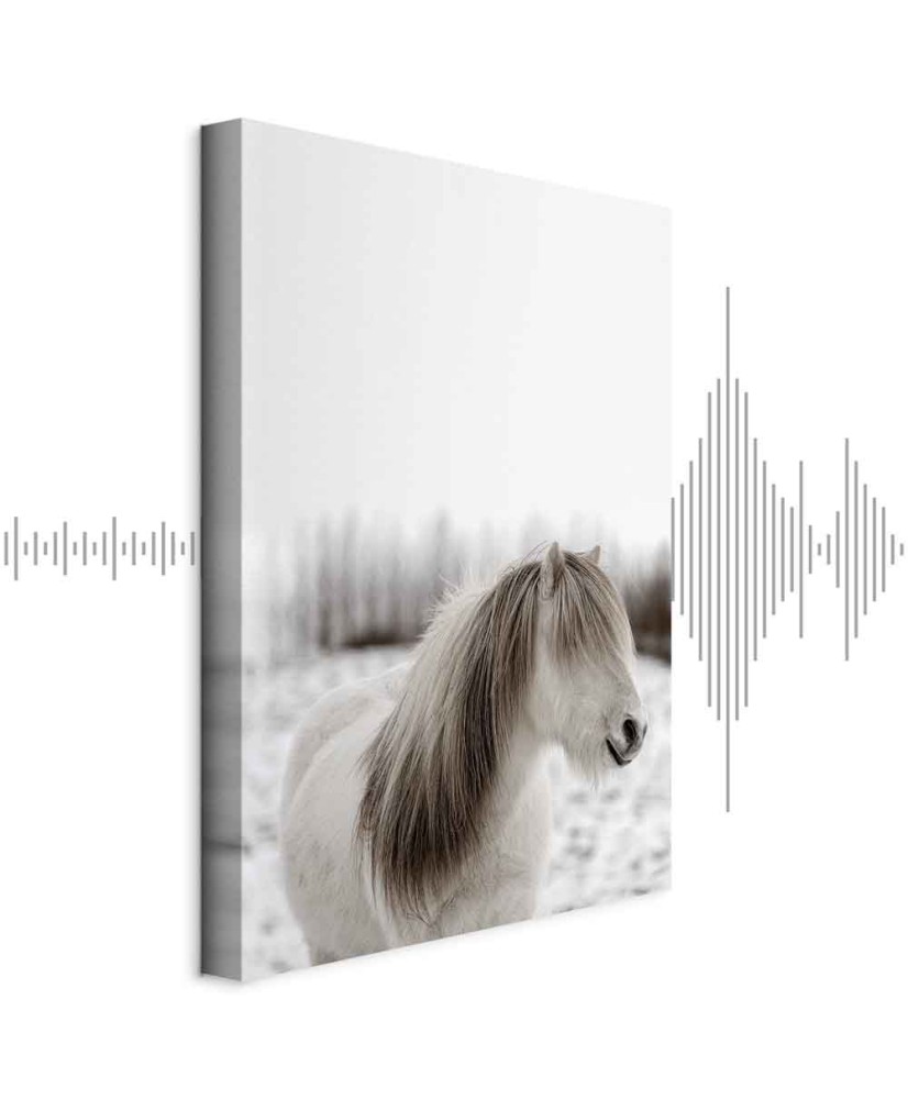 Paveikslas Žirgo karčiai