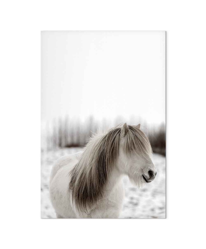 Paveikslas Žirgo karčiai