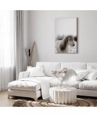 Paveikslas Žirgo karčiai