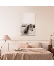 Paveikslas Žirgo karčiai