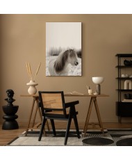 Paveikslas Žirgo karčiai