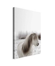 Paveikslas Žirgo karčiai