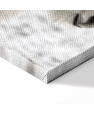 Paveikslas Žirgo karčiai