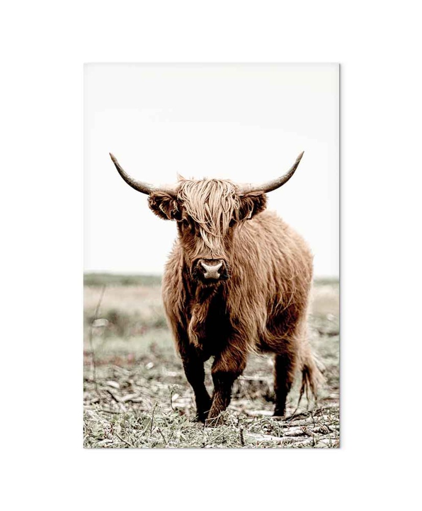 Paveikslas Jaunas elnias