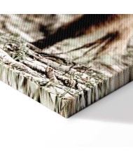 Paveikslas Jaunas elnias