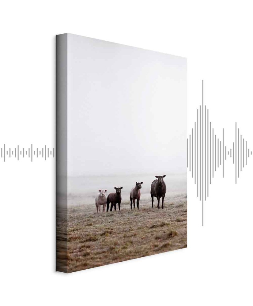 Paveikslas Draugai ryte