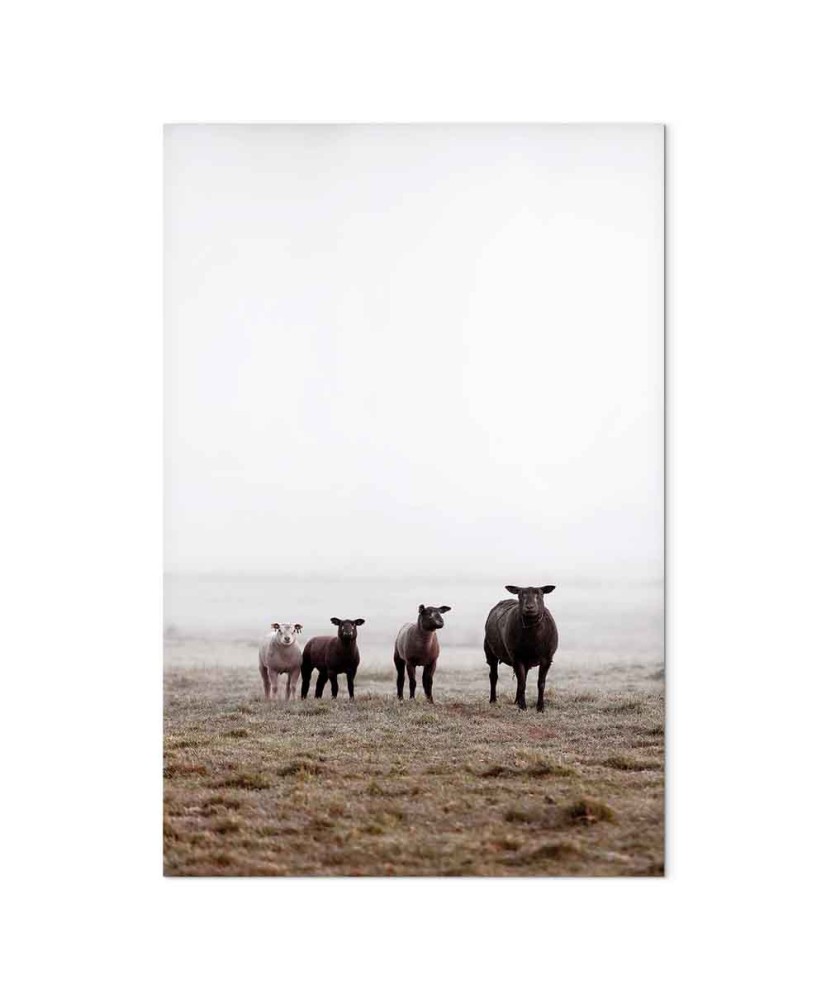 Paveikslas Draugai ryte