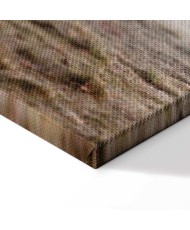 Paveikslas Draugai ryte