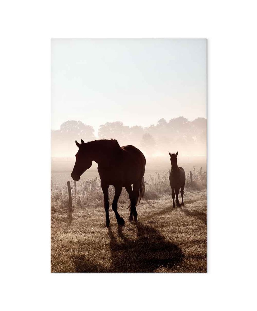 Paveikslas Ryto prisiminimai