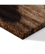 Paveikslas Ryto prisiminimai