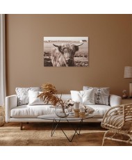 Paveikslas Škotijos karvė