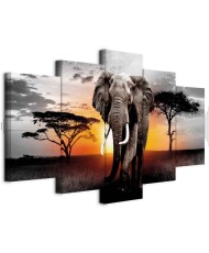 Paveikslas Dramblio saulėlydis