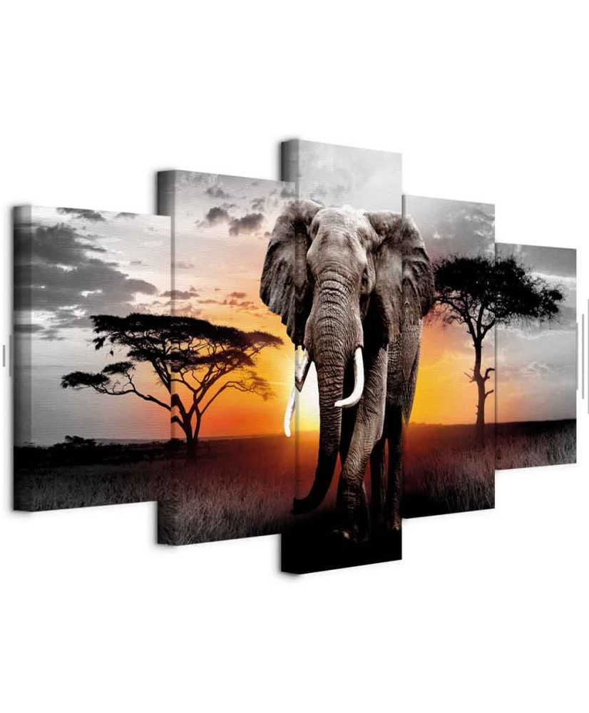 Paveikslas Dramblio saulėlydis