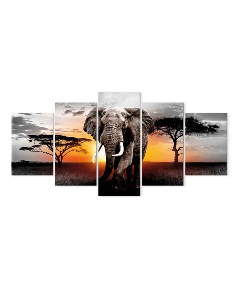 Paveikslas Dramblio saulėlydis