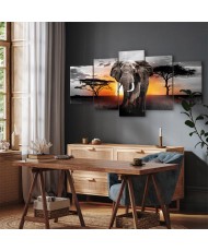 Paveikslas Dramblio saulėlydis