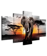 Paveikslas Dramblio saulėlydis