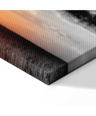 Paveikslas Dramblio saulėlydis