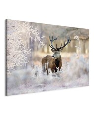 Paveikslas Šaltas elnias