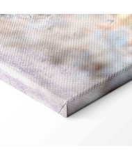 Paveikslas Šaltas elnias