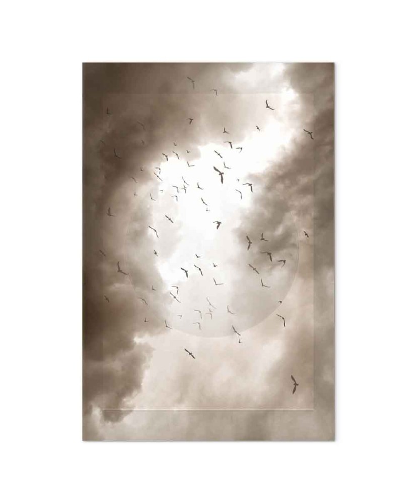 Paveikslas Paukščiai debesyse