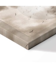 Paveikslas Paukščiai debesyse