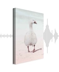 Paveikslas Žiemos antis