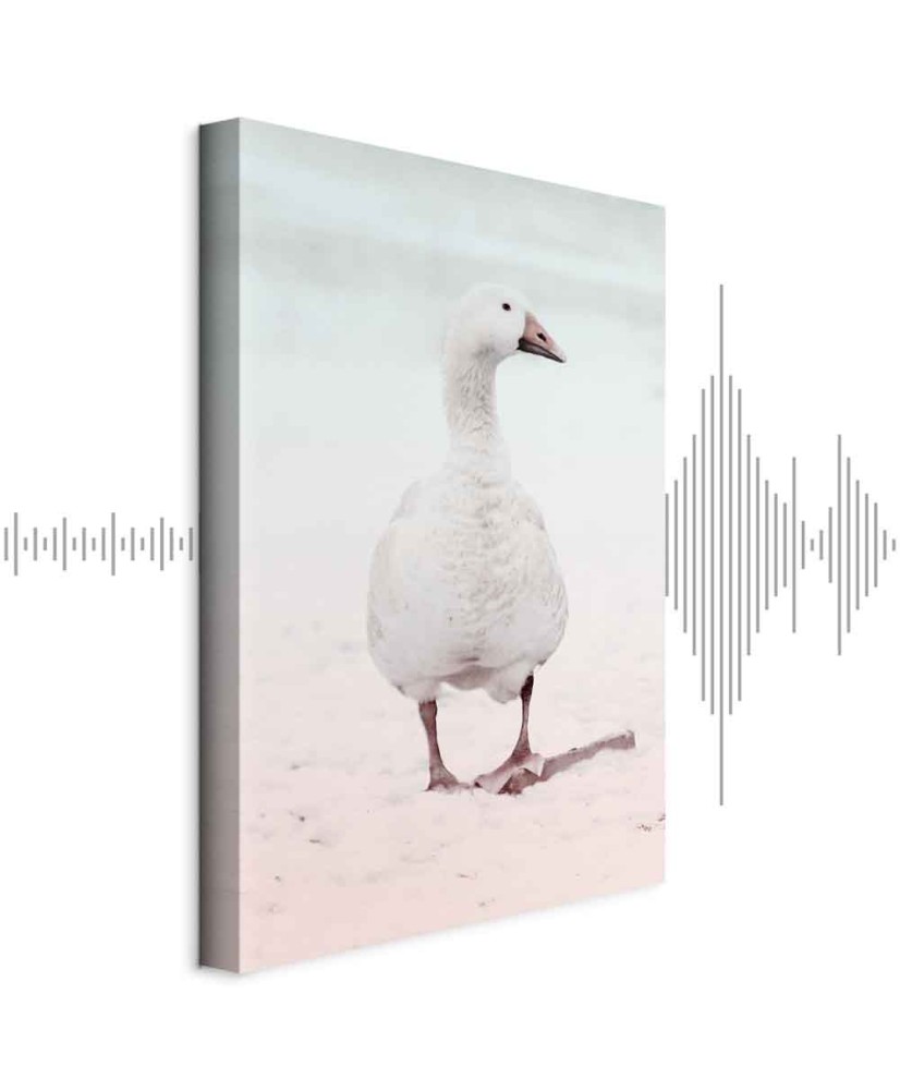 Paveikslas Žiemos antis