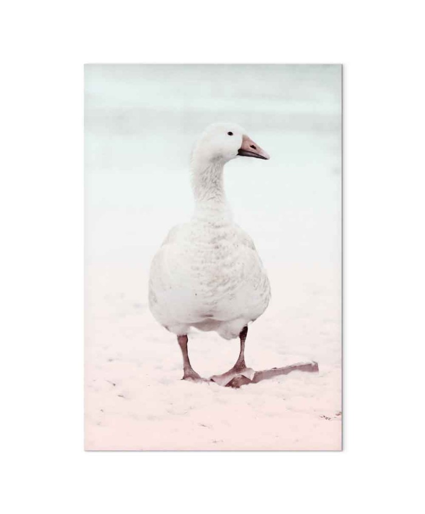 Paveikslas Žiemos antis