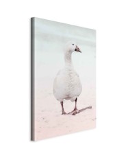 Paveikslas Žiemos antis