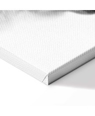 Paveikslas Švelnus sapnas