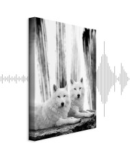 Paveikslas Miško meilė