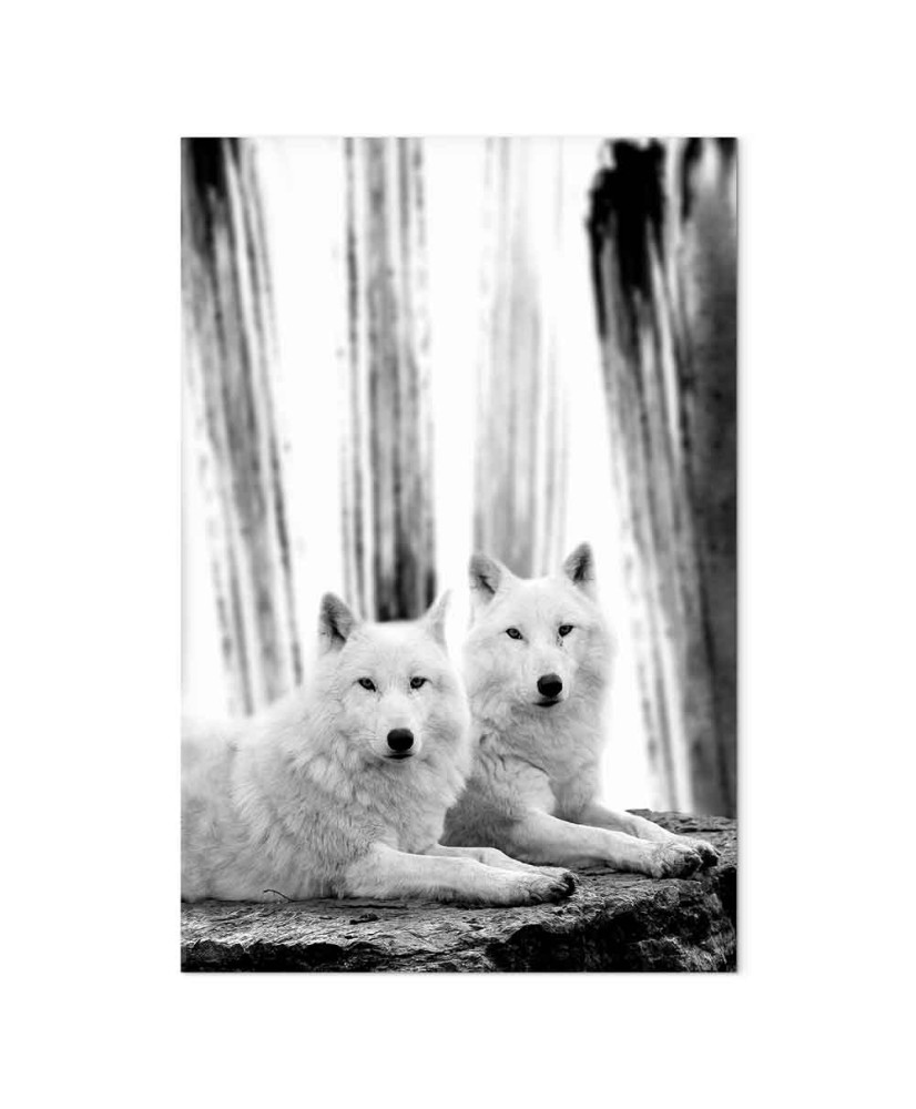 Paveikslas Miško meilė