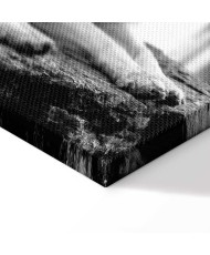 Paveikslas Miško meilė