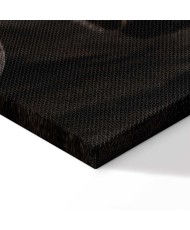 Paveikslas Ugningi vėjai